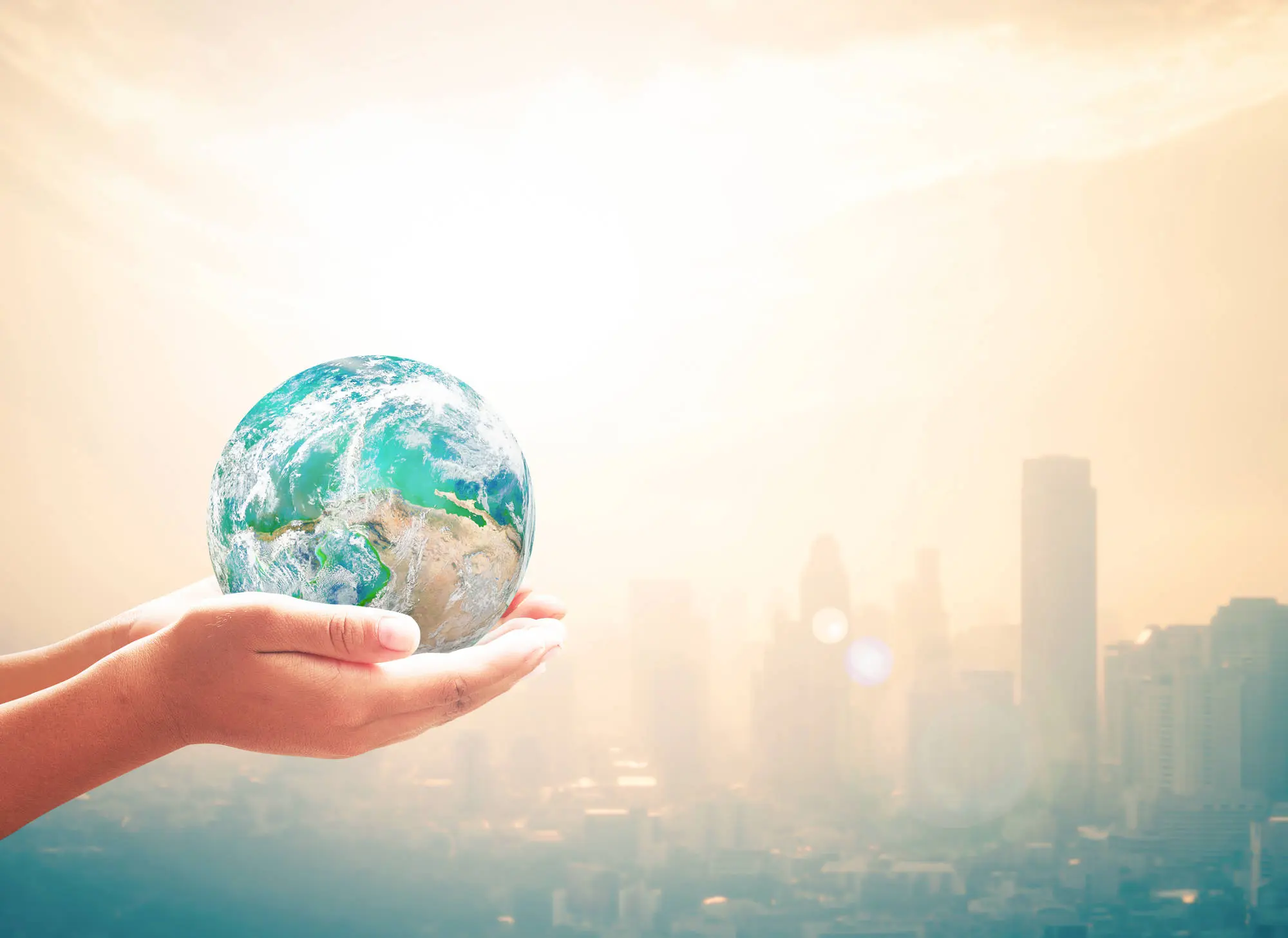 Hands holding a globe