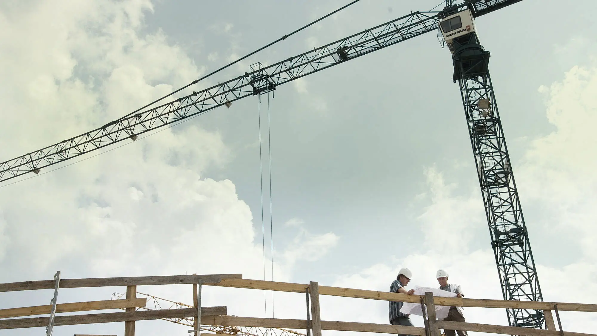 Design Review of Cranes