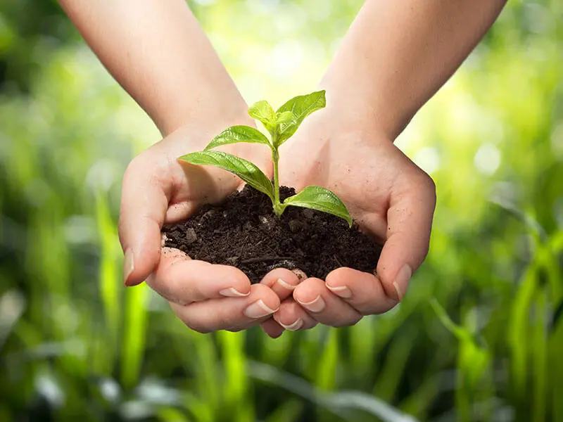 Environment, Health and Safety Training