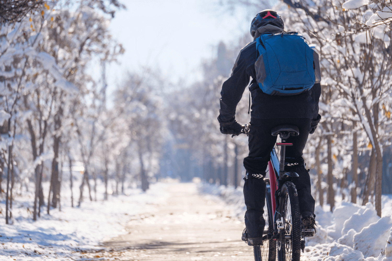 cyclin winter
