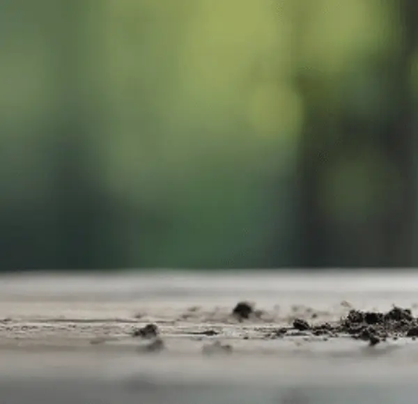 test de baterías test de baterías