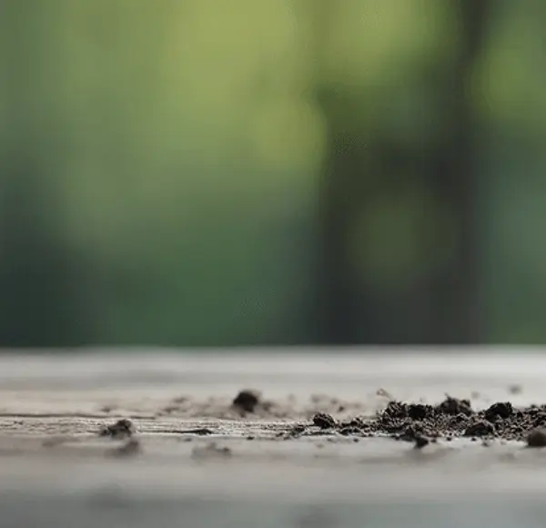 green battery behind green growing leaf 