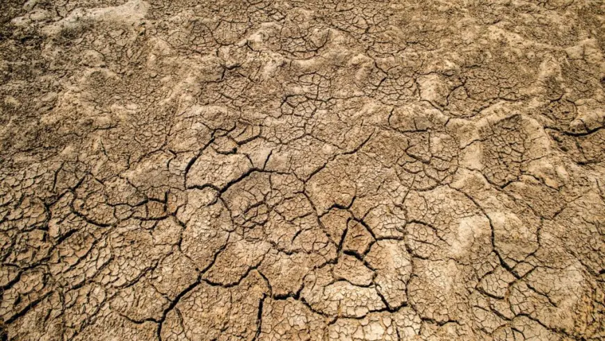 Dry desert soil