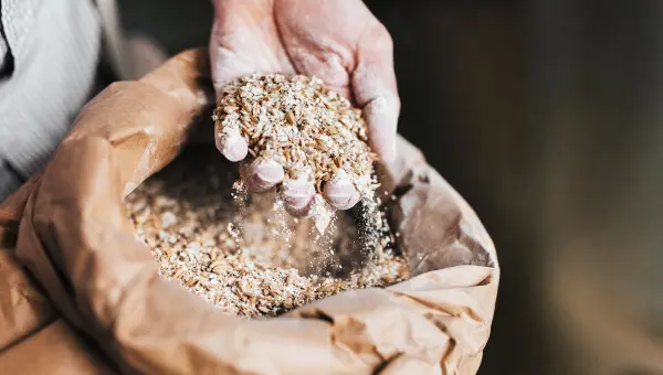 GMP+ Certification for Animal Feed GMP+ Certification for Animal Feed