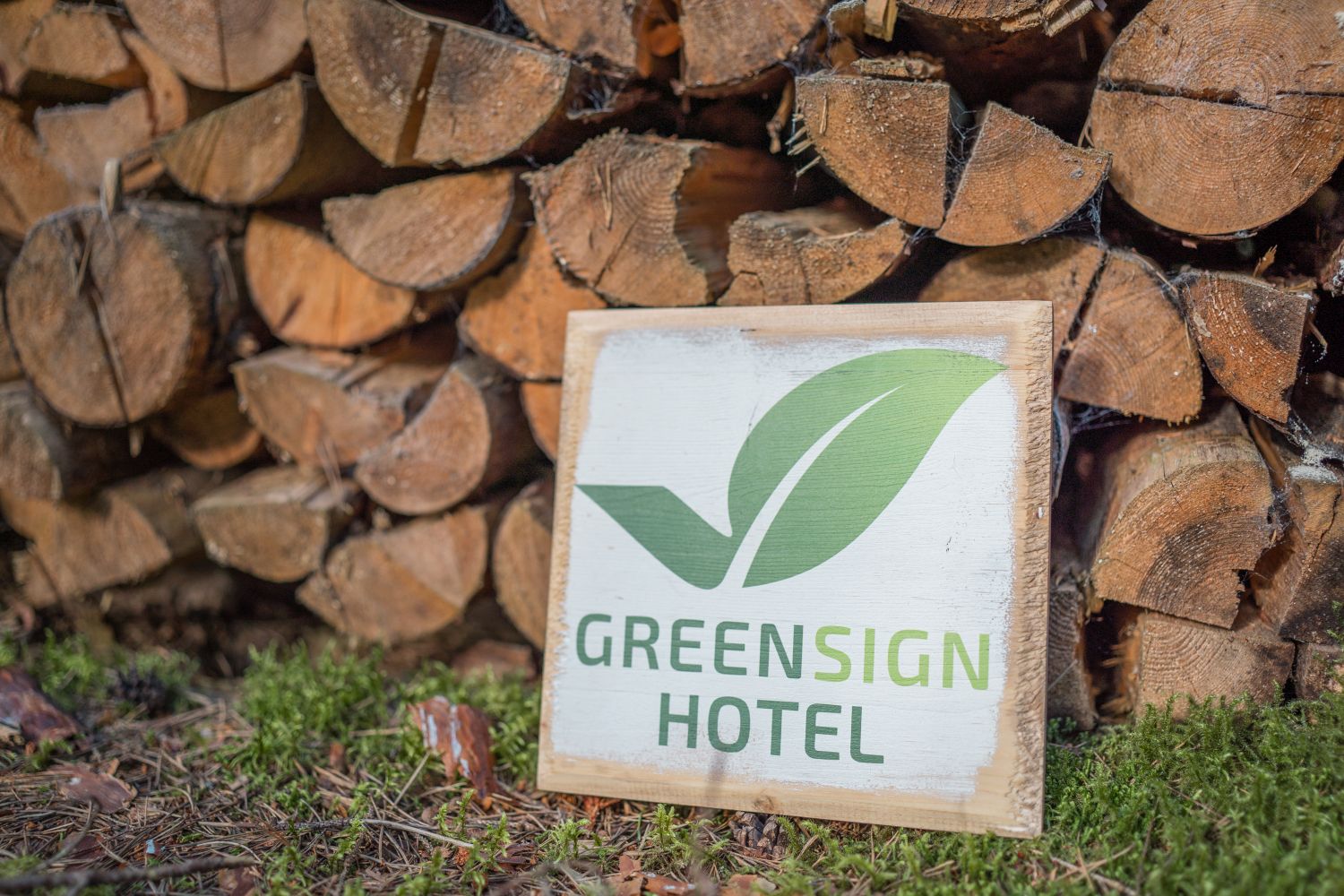Green Hotel