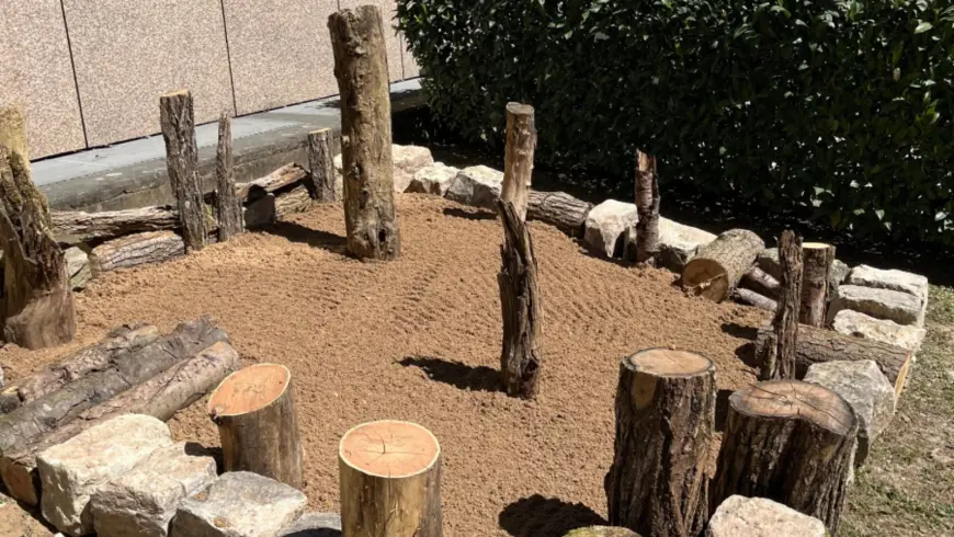 A sand habitat to support insects and wild bees