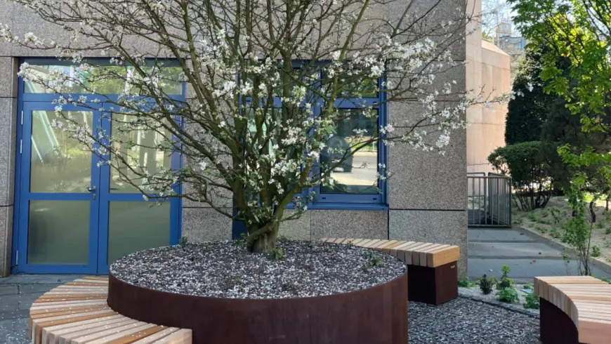 Nature-based work environments