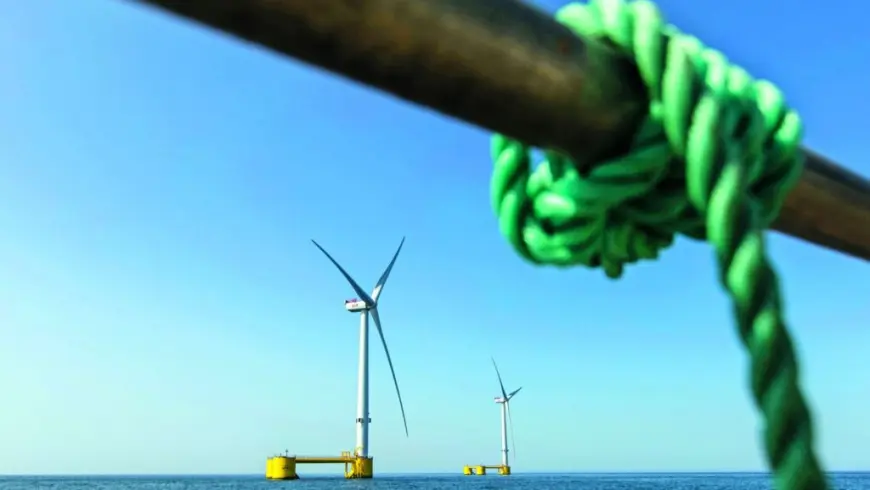 Wind turbines of offshore wind farms use the steady winds blowing over the sea to generate electricity.