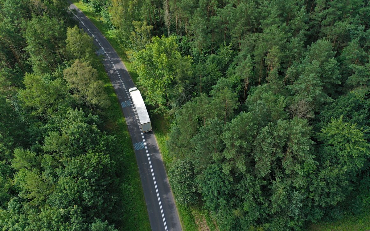 LKW fährt auf einem Waldweg