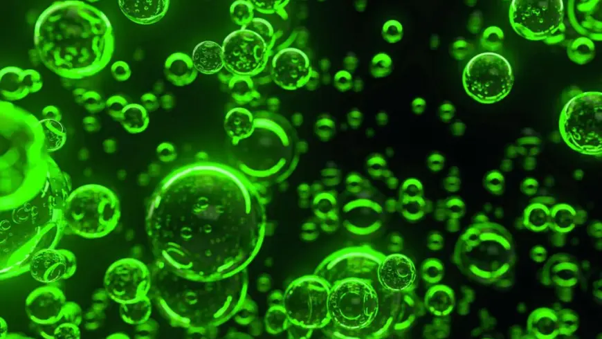 Waste-to-fuel Hydrothermal liquefaction turns biomass into a crude oil-like product that can be refined into biofuels.