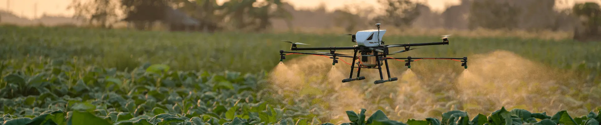 Agricultural drone working in a green field Agricultural drone working in a green field