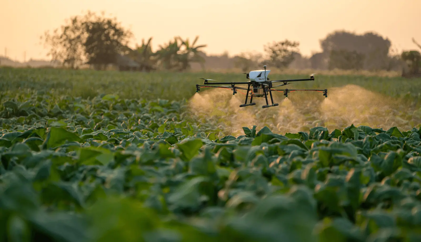Agricultural drone working in a green field