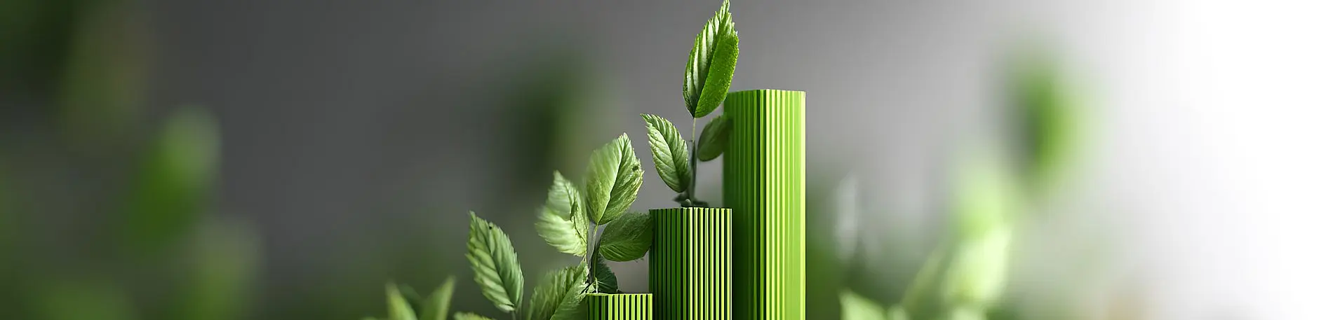 Green bars Green bars