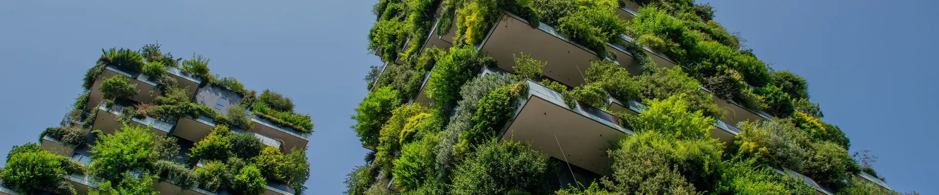 Building with plants and trees