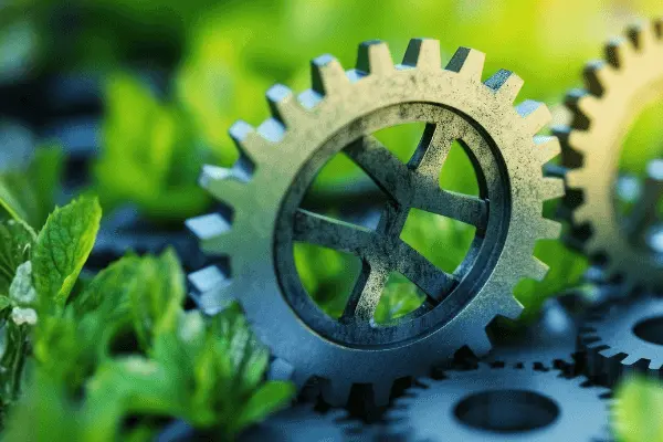 Gears representing the product life cycle placed on a green meadow with plants, symbolizing a sustainable carbon footprint