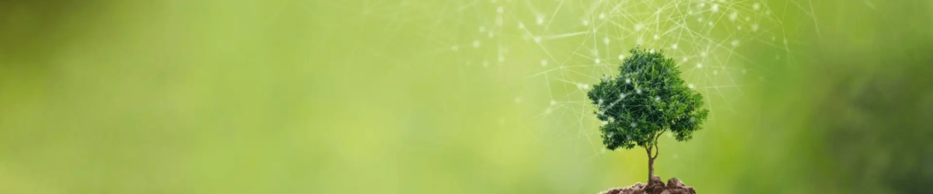 green background with a tree and data connections