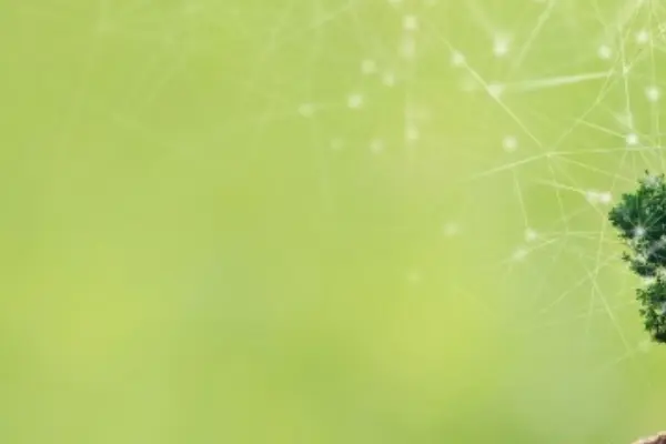 green background with a tree and data connections