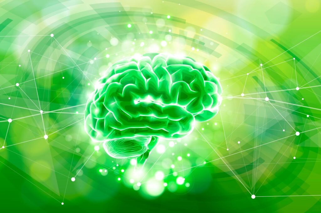 At birth, a child`s brain is equipped with about 100 billion neurons