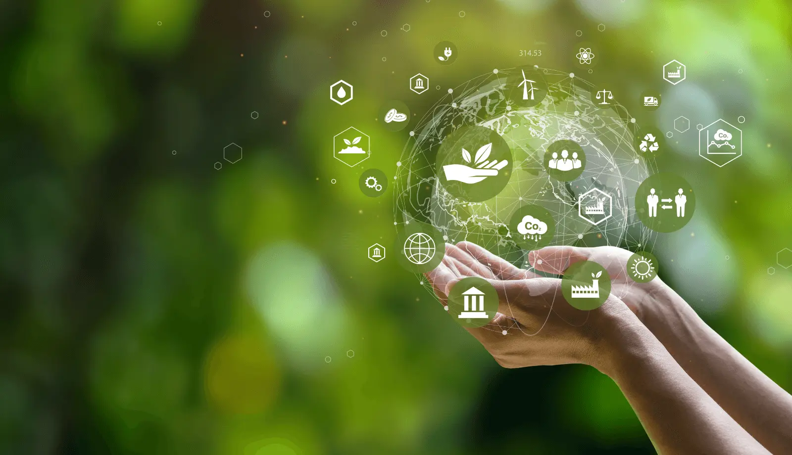 green background with a green tree and connection lines