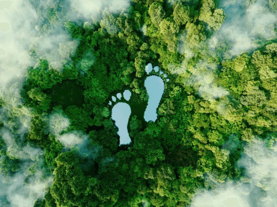 Decarbonization Services