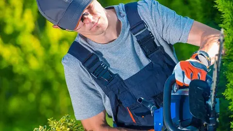 Pruebas de usabilidad y rendimiento