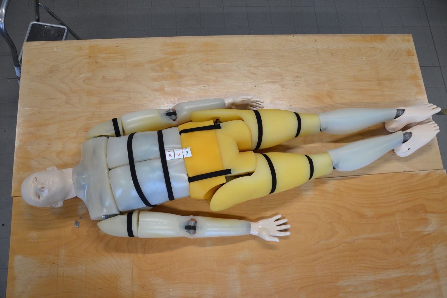 Biofidel-Dummy