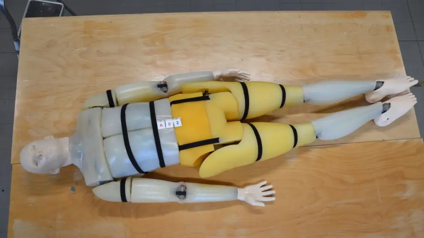 biofidelic dummy 