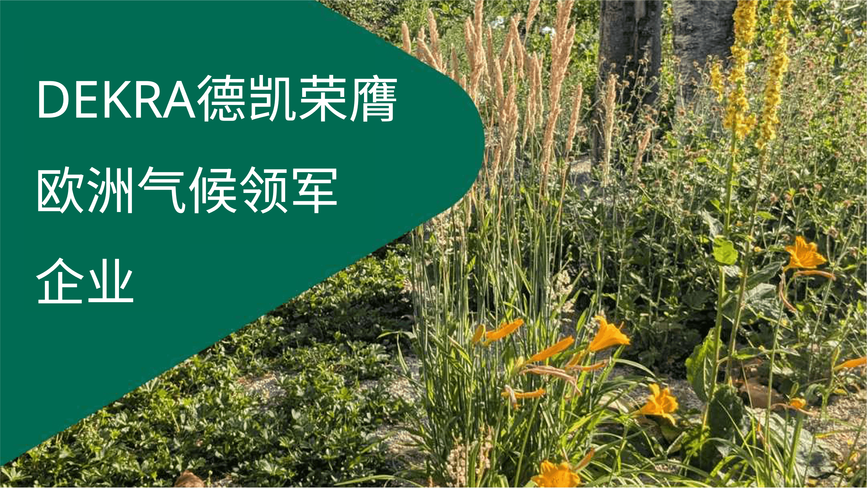 DEKRA德凯荣膺“ 欧洲气候领军企业”