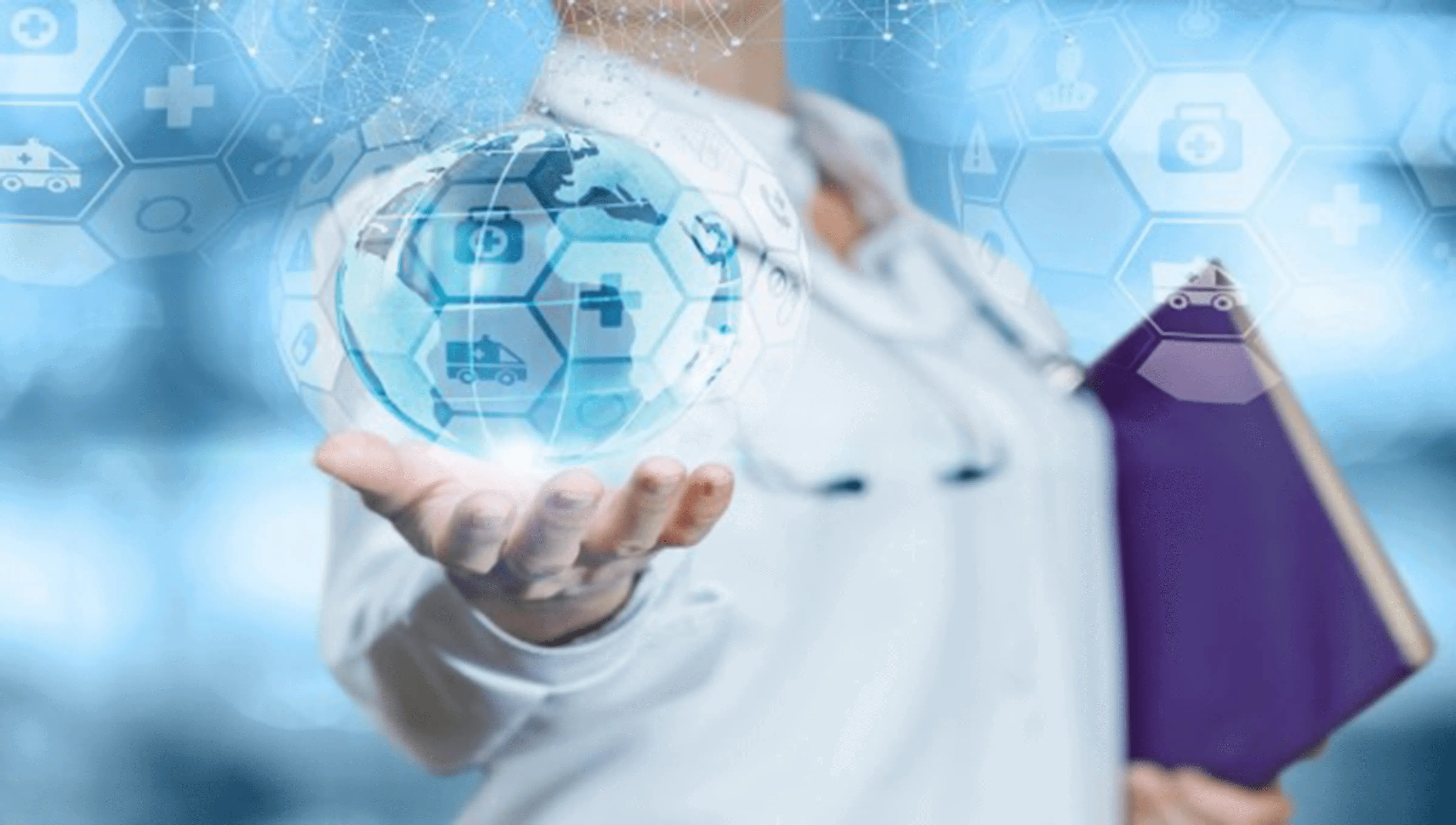 Tissues of Animal Origin Directive 