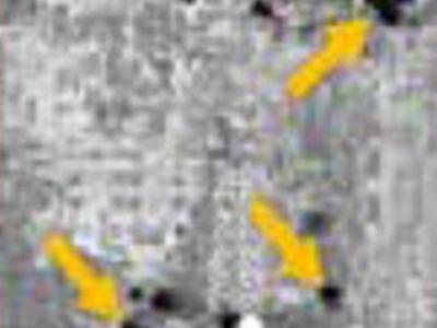 SAT 2