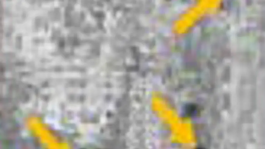 SAT 2