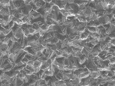 SEM 1