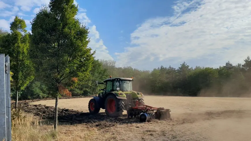 Aussaat von den BioBienenApfel-Samen