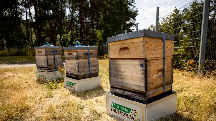 Bienenwiese DEKRA Lausitzring