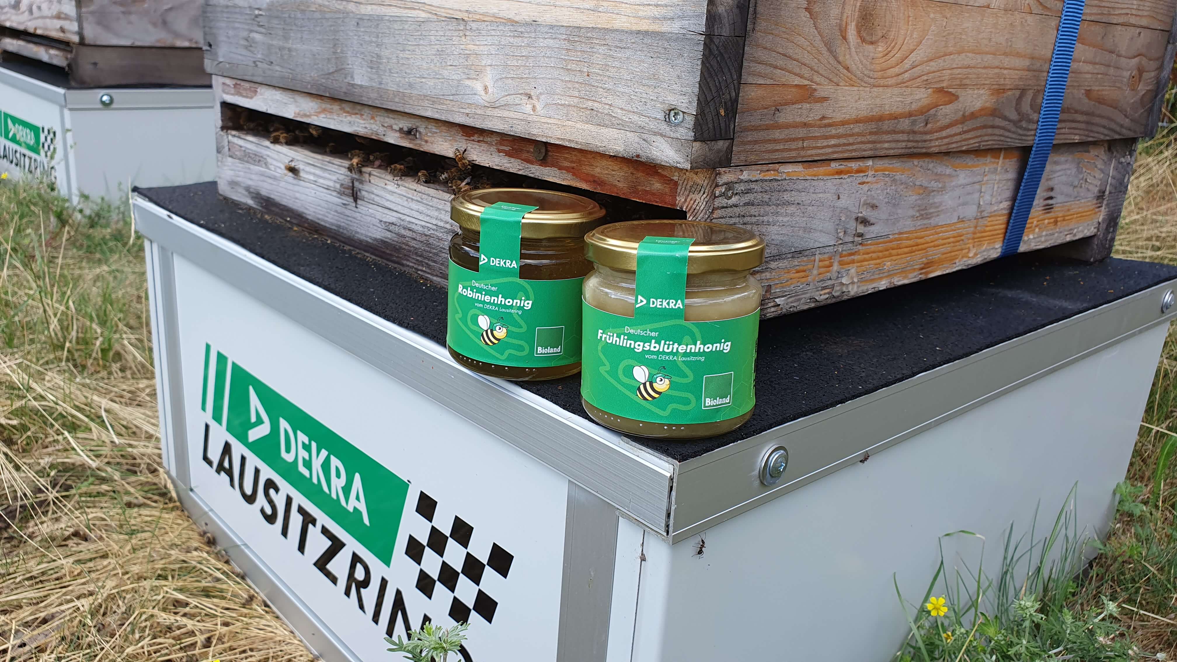 Bienenwiese DEKRA Lausitzring