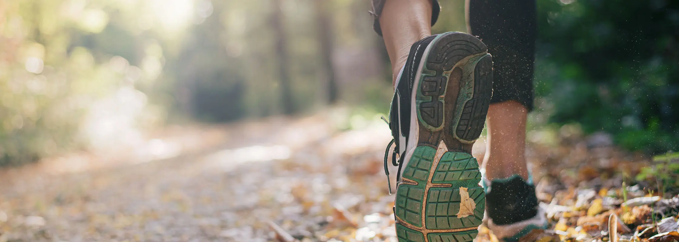 Joggen im Wald Joggen im Wald