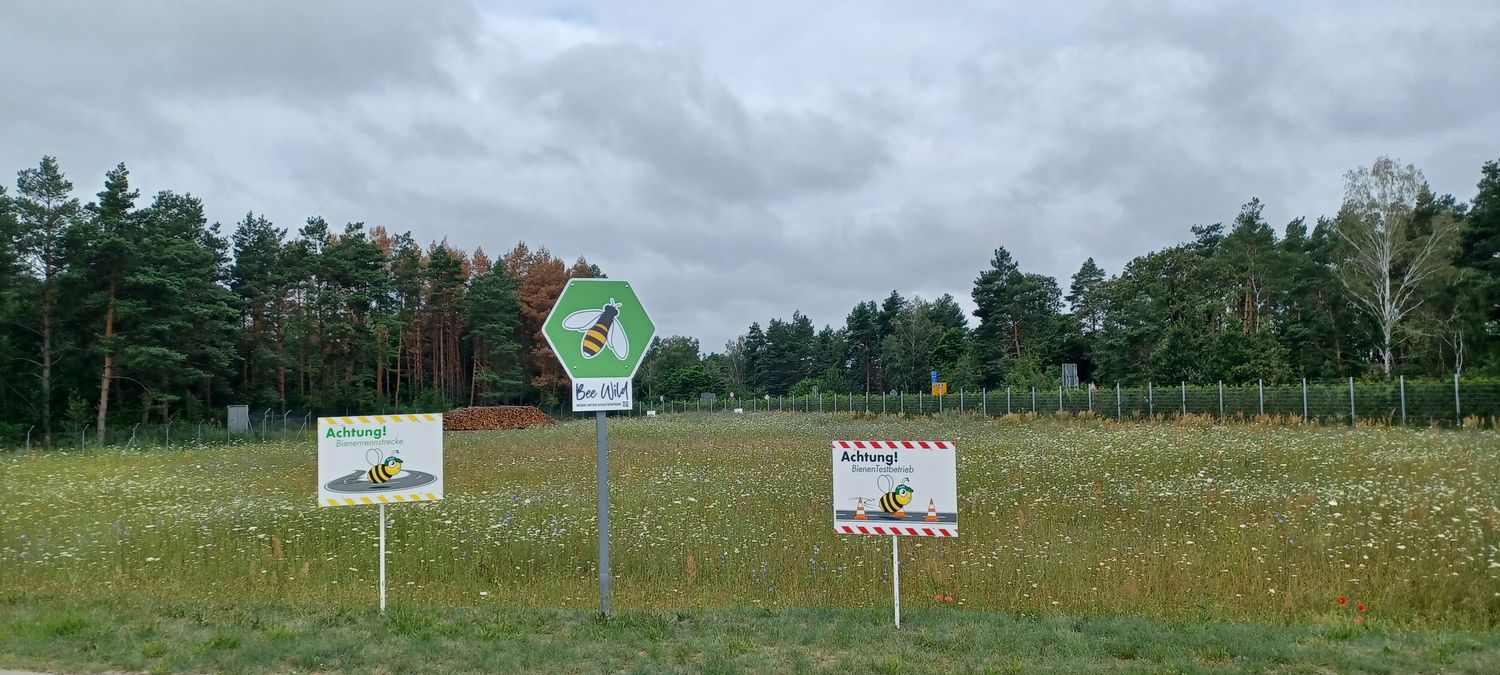 Bienenwiese DEKRA Lausitzring