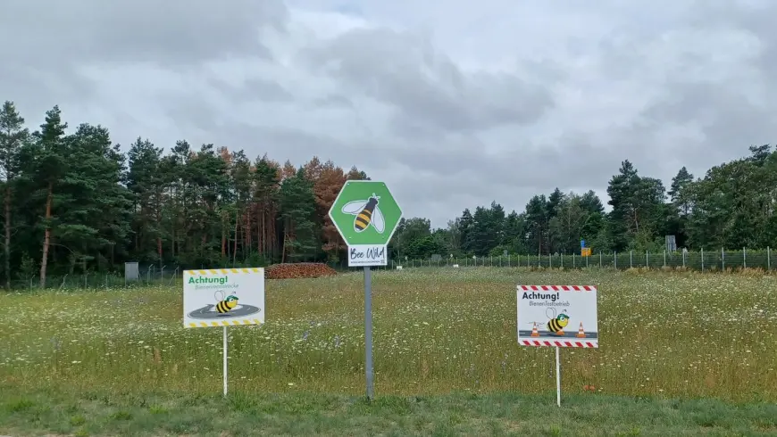 Bienenwiese DEKRA Lausitzring