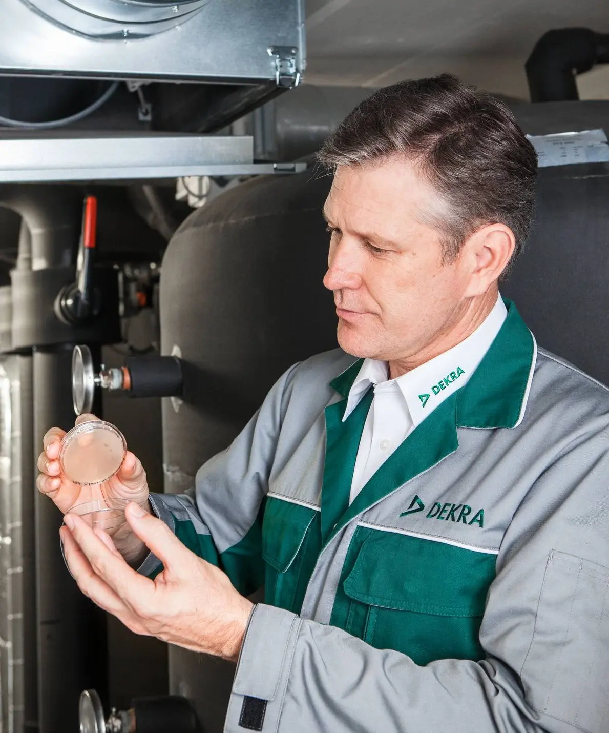 Hygieneprüfung Hygieneprüfung