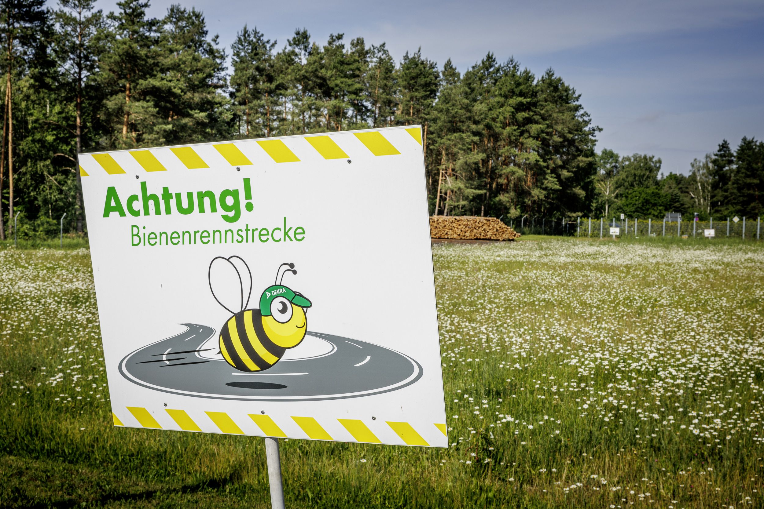 Bienenwiese DEKRA Lausitzring