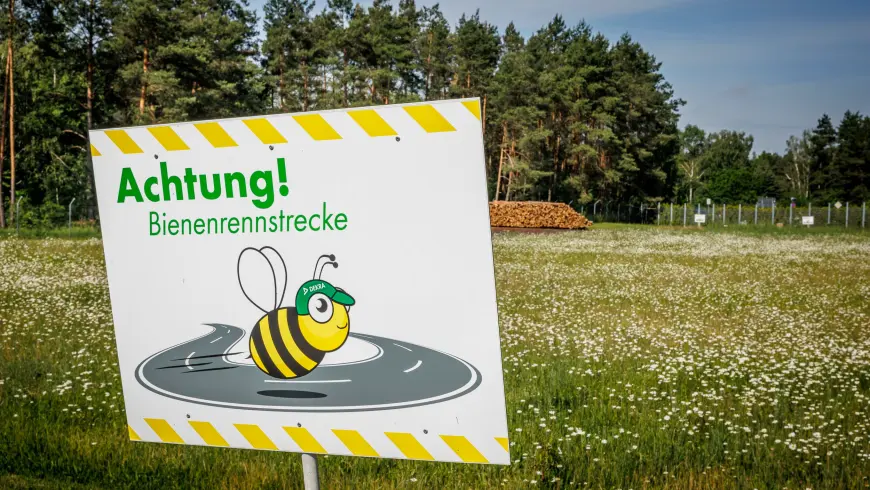 Bienenwiese DEKRA Lausitzring