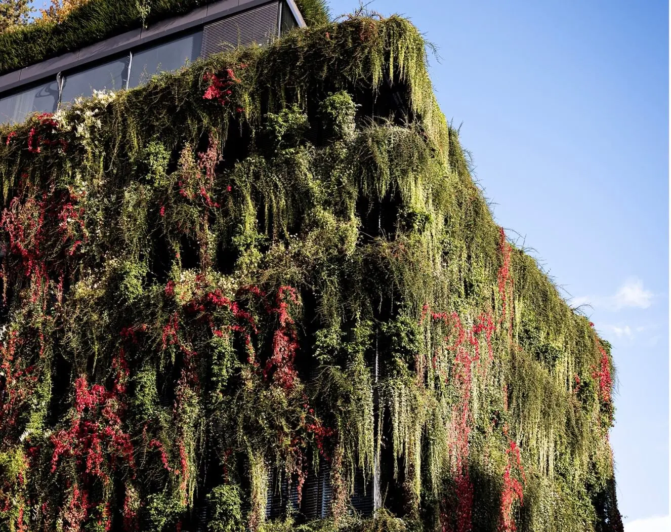 Nachhaltiges Gebäude