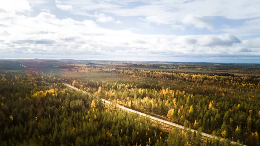 Landschaft
