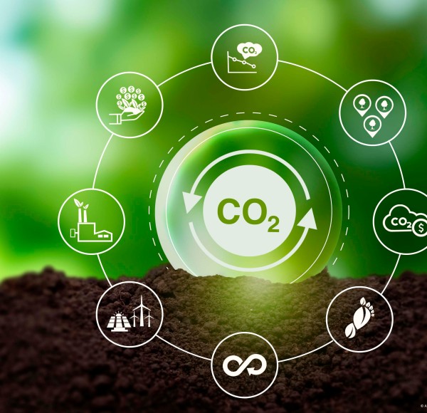 Negative CO2-Emissionen