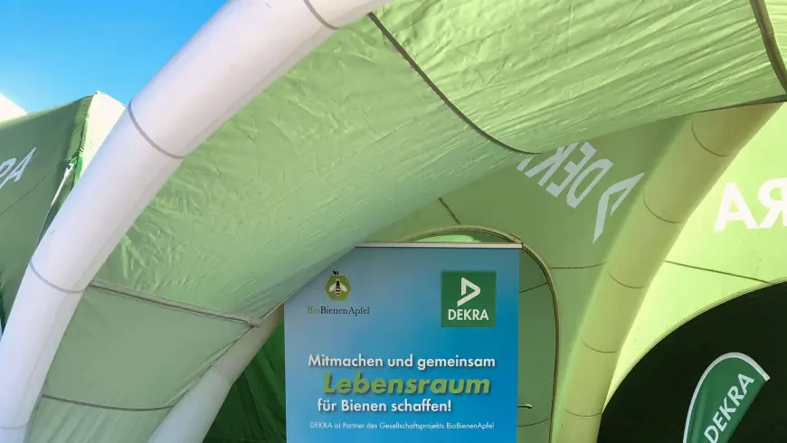 Verteilung der BioBienenApfel-Samen bei der DTM