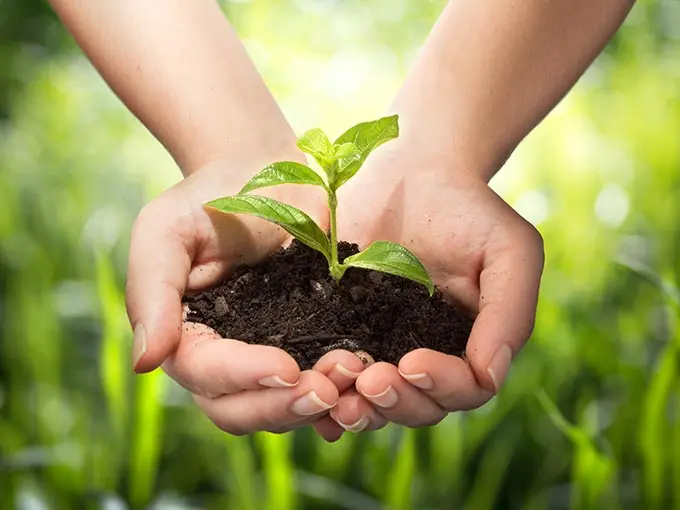 Gesundheit, Sicherheit & Umwelt (EHS) Weiterbildung