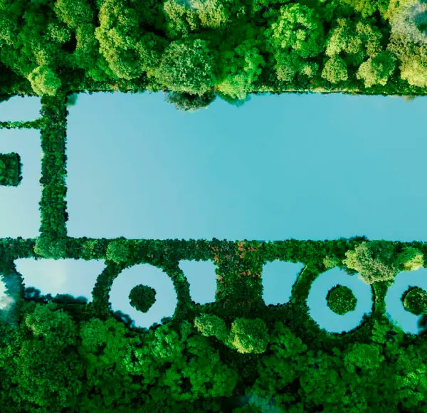 Picture of a truck surrounded by trees