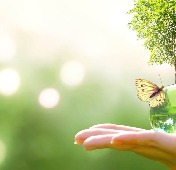 Hand holding a crytal globe of the earth with a tree growing on it