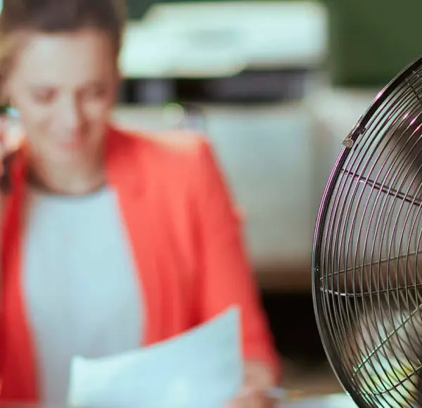 Heat in the Workplace