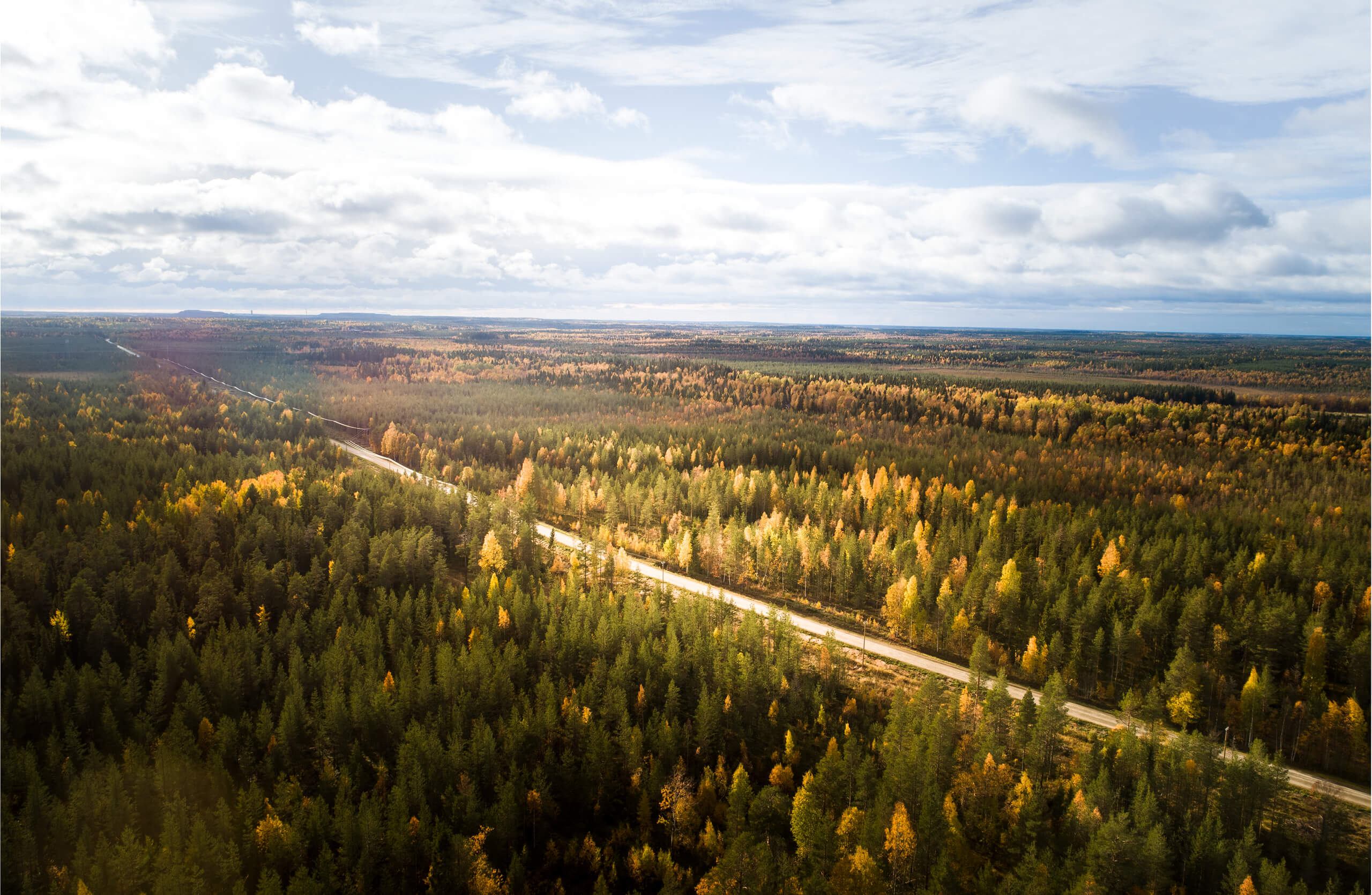 Landscape